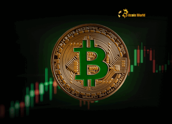 Bitcoin’s Explosive Potential LTH Selling Signals Major Bull Run