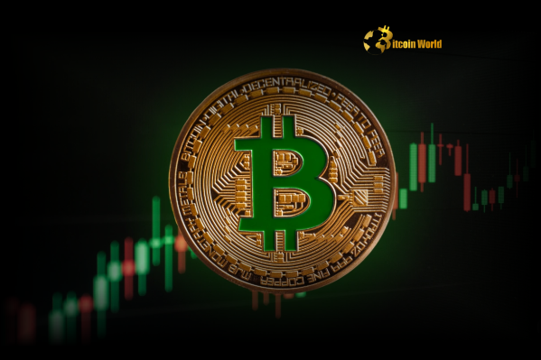 Bitcoin’s Explosive Potential LTH Selling Signals Major Bull Run