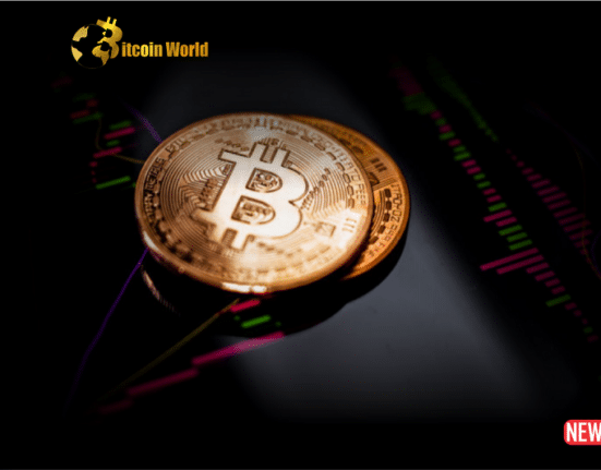 Bitcoins Price Outlook Amidst Warning