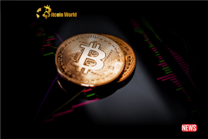 Bitcoins Price Outlook Amidst Warning