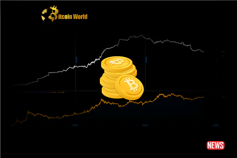 Bitcoins Supply Crunch