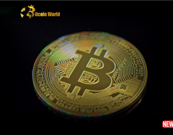 Bitcoins Tumultuous Ride