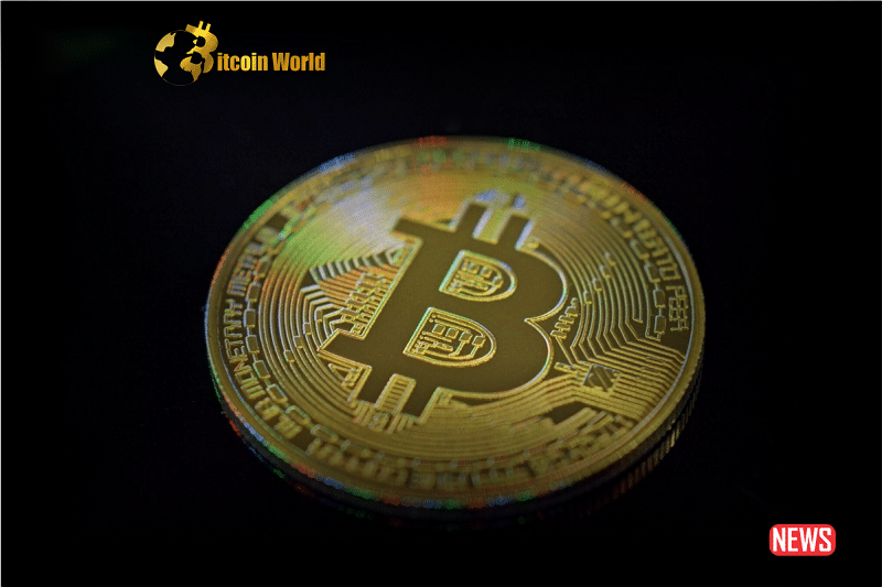 Bitcoins Tumultuous Ride