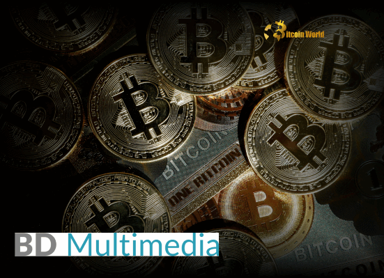 Bold Move BD Multimedia Boosts Bitcoin Treasury with $1.14M Convertible Bonds
