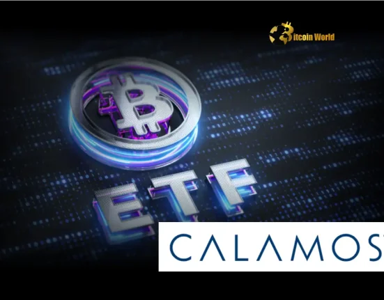 Bold Move: Calamos Prioritizes Bitcoin ETFs Amidst Crypto Market Cautious Approach to Ethereum & Memecoins