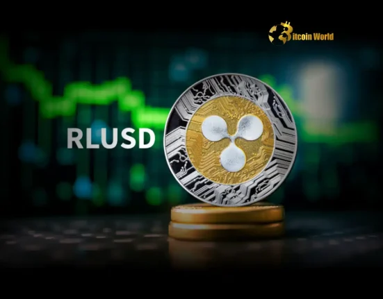 Bold Prediction: Ripple CEO Foresees RLUSD Stablecoin Dominating Top 5 by Year-End
