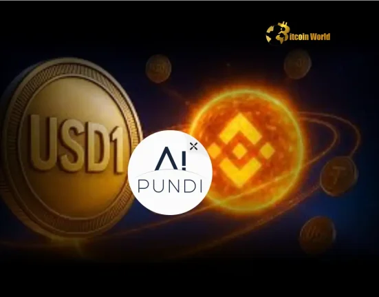 Breakthrough Pundi X Unleashes USD1 Stablecoin Support on BNB Chain for Global Crypto Payments
