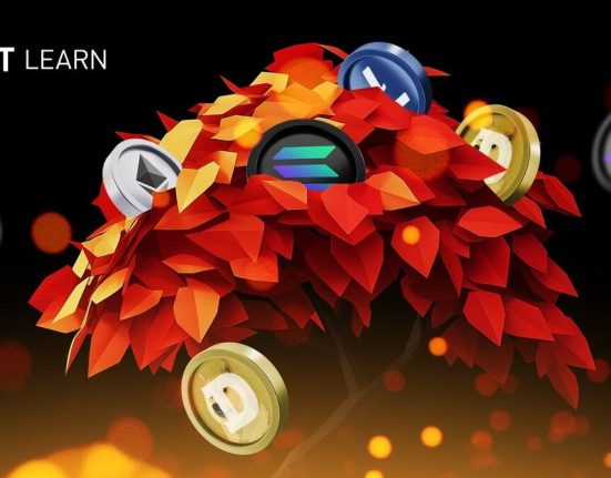 Bybit Block Scholes Report Timing Altcoin Season a 17393706047dzGUvWAY0