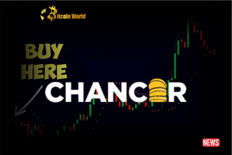 CHANCER token