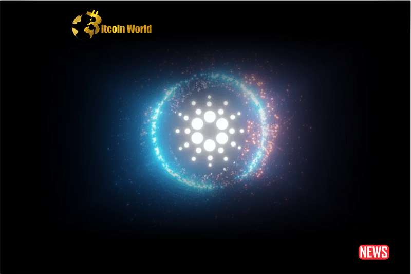Cardano Unveils New Update