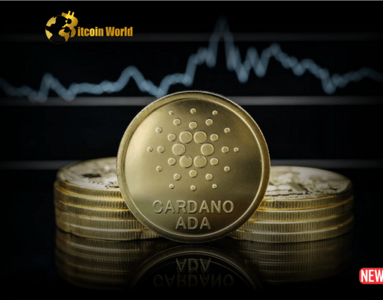 Cardanos ADA faces