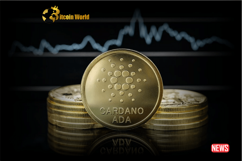 Cardanos ADA faces