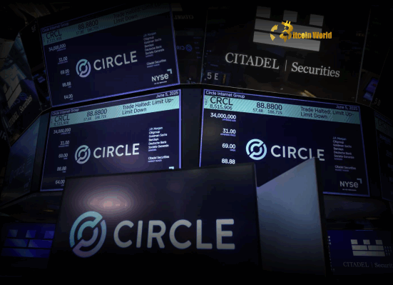 Circle Stock Price Soars 17% in Phenomenal Pre-Market Surge