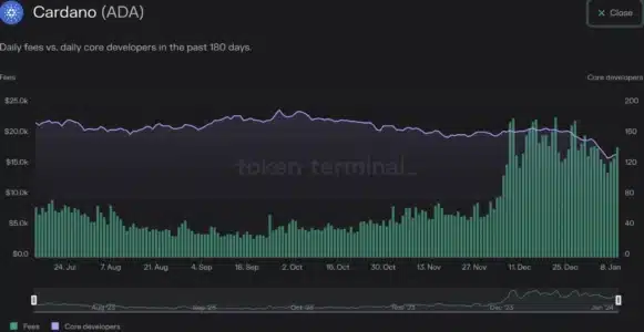 Core developer decline