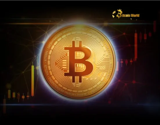 Crucial Bitcoin Trends 5 Key Points to Watch This Week for Navigating the Crypto Market