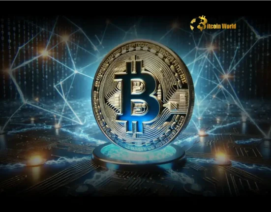 Crucial CryptoQuant Data Reveals Bitcoin HODL Sentiment Strongest Since 2016