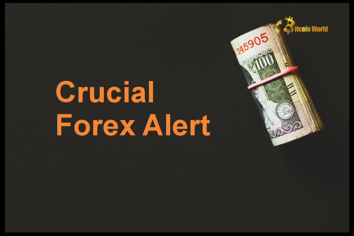Crucial Forex Alert: US Dollar Awaits Fed Comments Amidst Loss Consolidation
