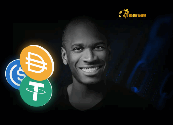 Crucial Insight Arthur Hayes on Why Stablecoin Distribution is Key