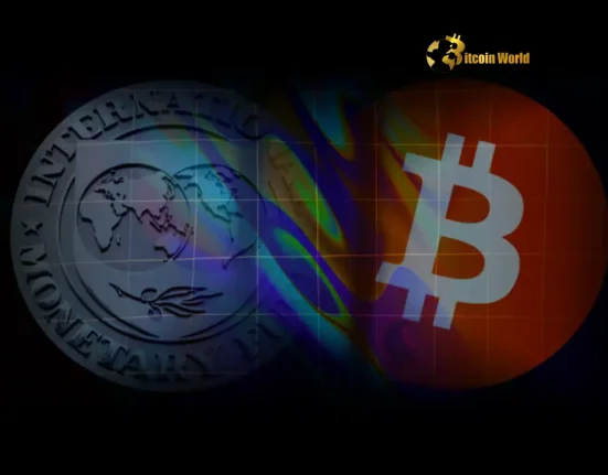 Crucial Step IMF Incorporates Digital Assets Guidance into Global Statistical Standards