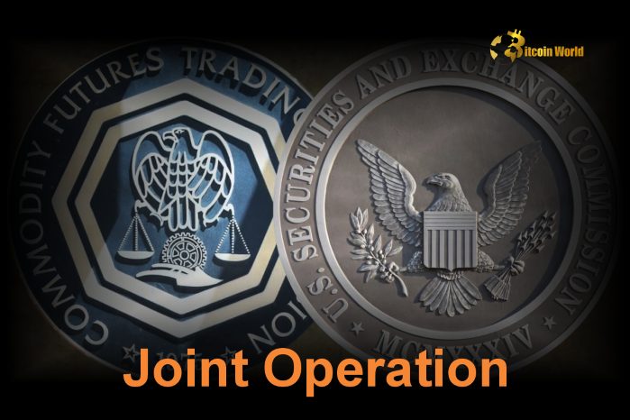 Crucial Step? SEC and CFTC Explore Joint Crypto Regulation in the US