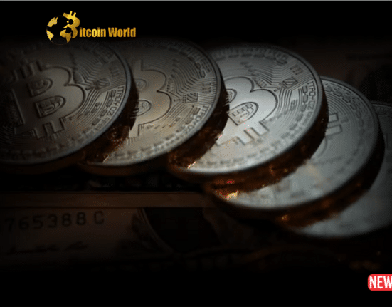 Crypto Advocacy Bodies
