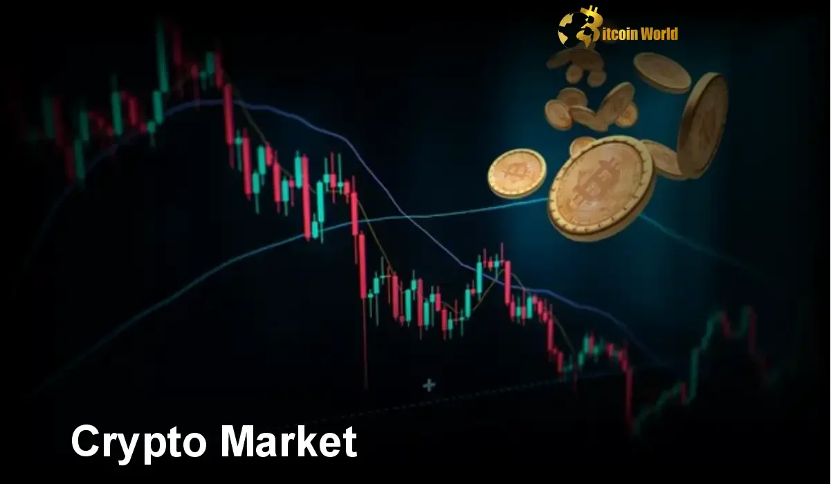 Crypto Market: Unveiling the Explosive Potential of the Next Bull Run