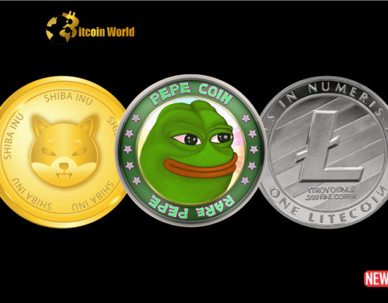 Crypto Market Update