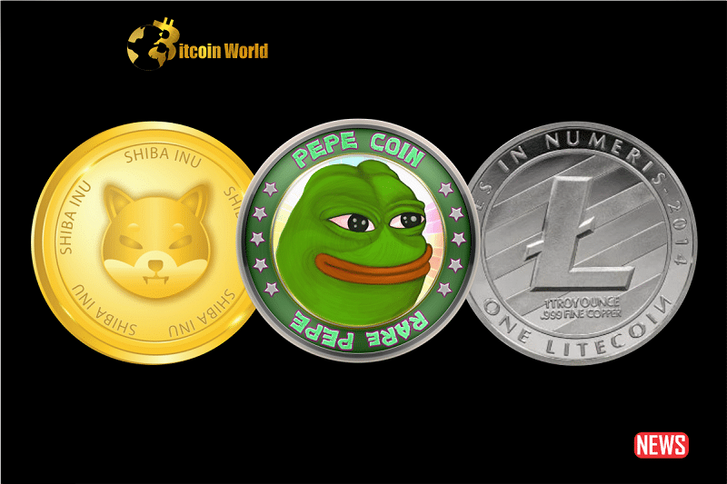 Crypto Market Update