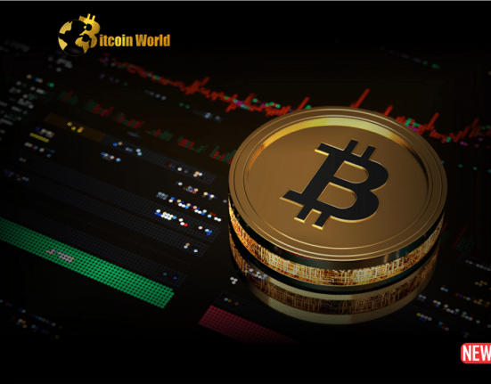 Crypto Markets Soar