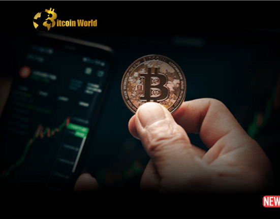 Crypto Pioneers Advise