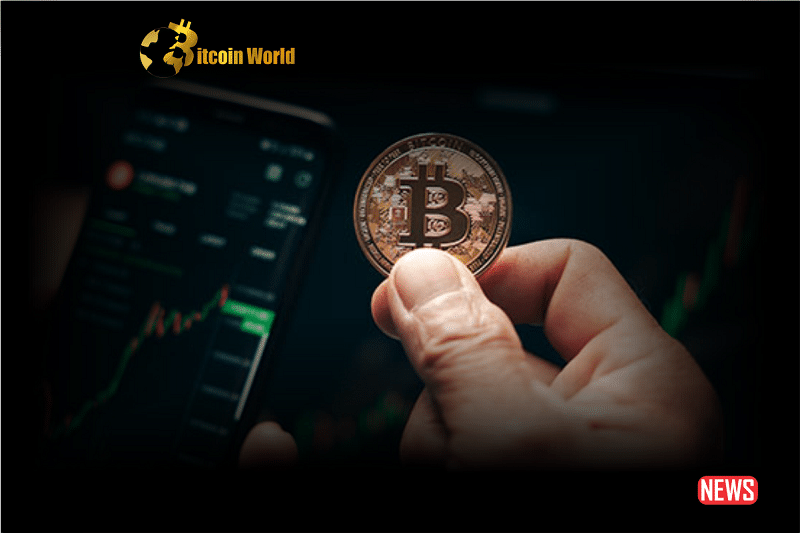 Crypto Pioneers Advise