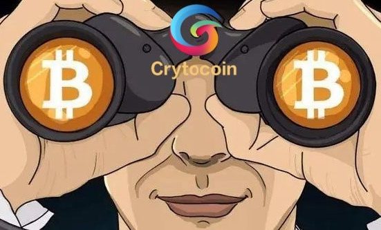 CryptoCoin 12 Jan 2025