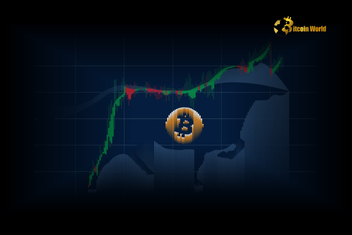 CryptoQuant CEO: 'Bitcoin Bull Cycle Isn’t Over'