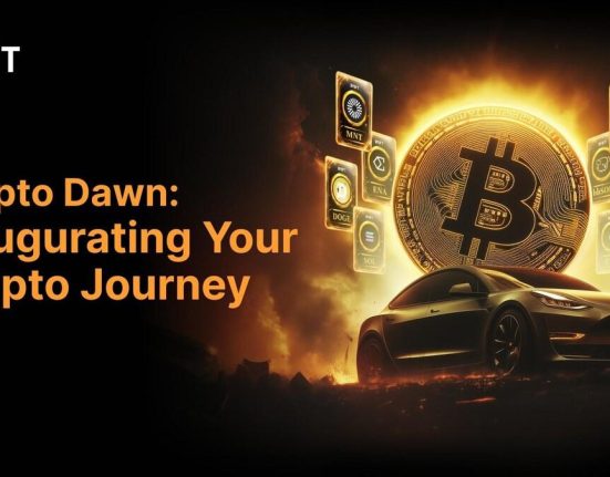 Crypto Dawn Bybit 1737411605Zxnp0sQxg2