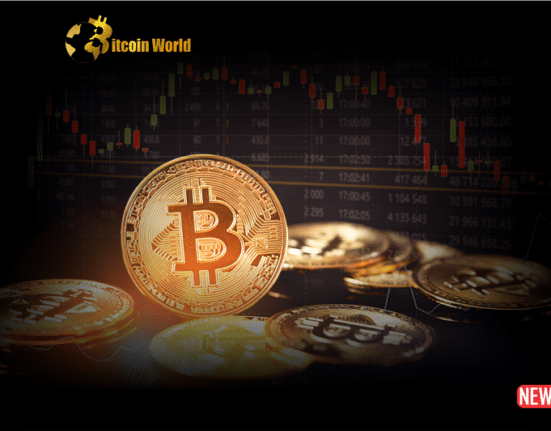 Cryptocurrency Market Update