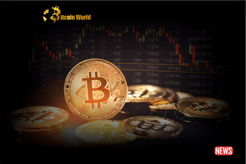 Cryptocurrency Market Update