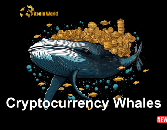 Cryptocurrency Whales