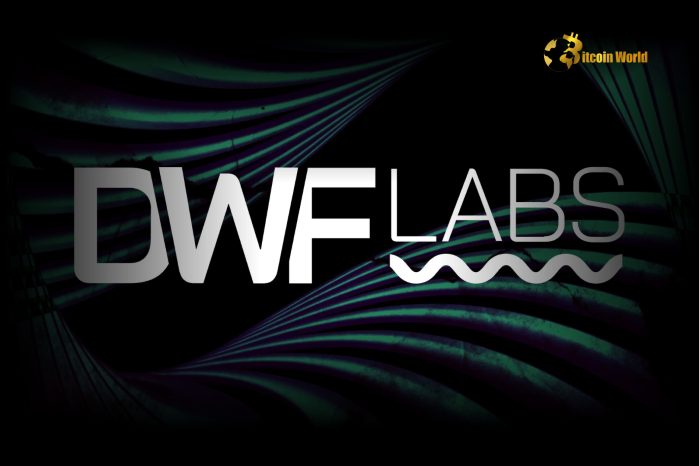 DWF Labs co-founder discusses AI market dip and future potential