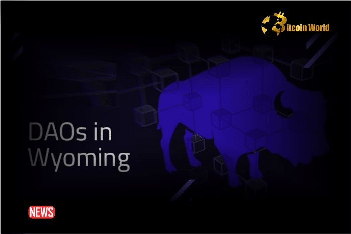 Wyoming To Recognize DAOs As Legal Entities Under Newly Passed Law