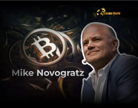 Decoding Bitcoin’s Surge Novogratz Unveils Macro Uncertainty & Crypto Adoption Dynamics