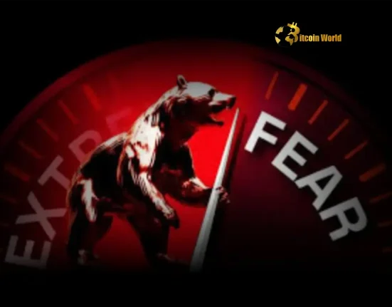 Decoding Crypto Fear Fear & Greed Index Rises Slightly, But Uncertainty Persists