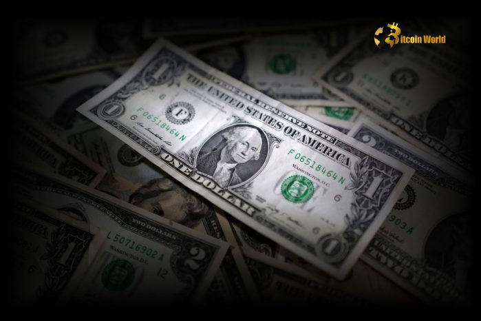 Decoding US Dollar Impact: NEC Director's Fed Meetings Spark Interest Rate Speculation