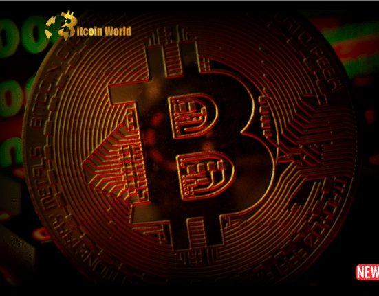 Drive Crypto Market Recovery