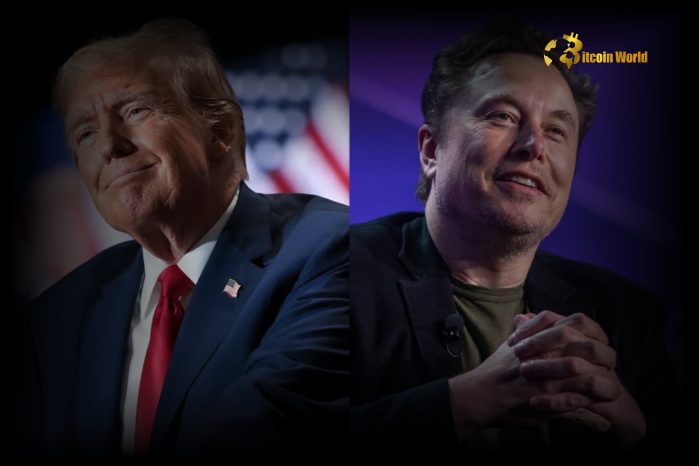 Elon Musk Predicts Trump Will Pardon Silk Road Founder Ross Ulbricht