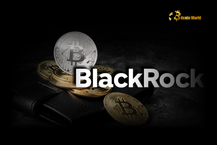 Emerging Bitcoin: BlackRock's Bold Vision of a Global Monetary Revolution