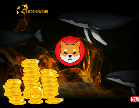 Enigmatic Shiba Inu Whale