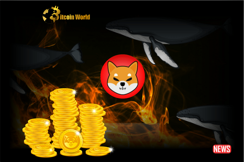 Enigmatic Shiba Inu Whale
