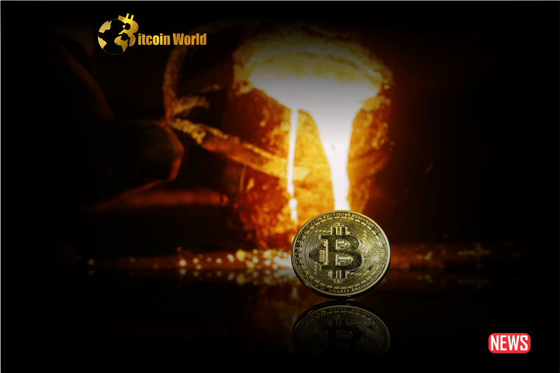 Ex Correctional Officers Crypto Scam Targets Law Enforcement