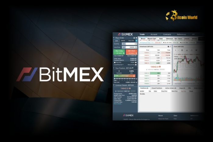 Exclusive: BitMEX Seeks Buyer in Shocking Crypto Exchange Acquisition Move