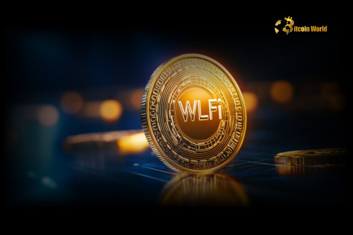 Exclusive Reveal: WLFI Co-founder Unveils Bold DeFi Strategy, Shunning Venture Capital